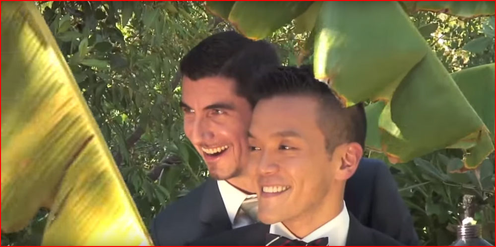 חתונתם של ג’וני וסבסטיאן (וידאו)