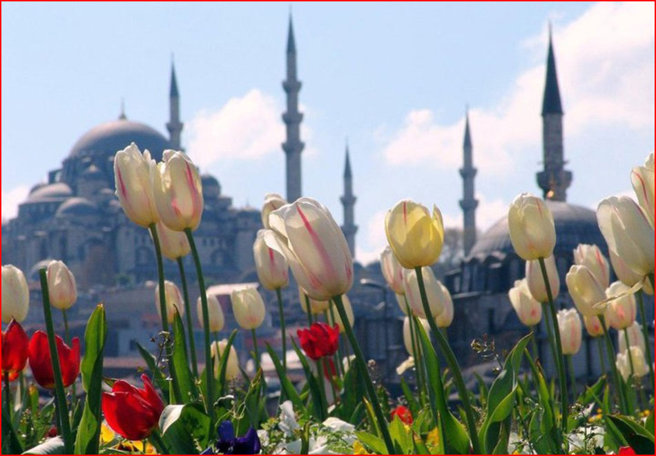 פסטיבל הצבעונים באיסטנבול