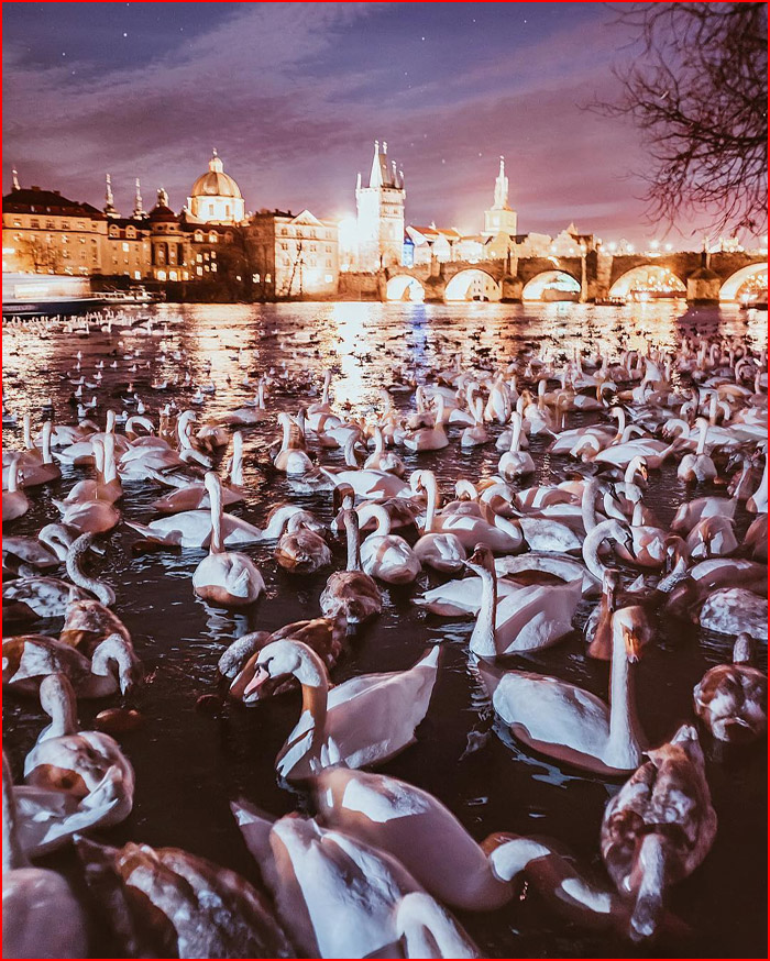 עולם הקסום של צלמת קריסטינה מקייבה