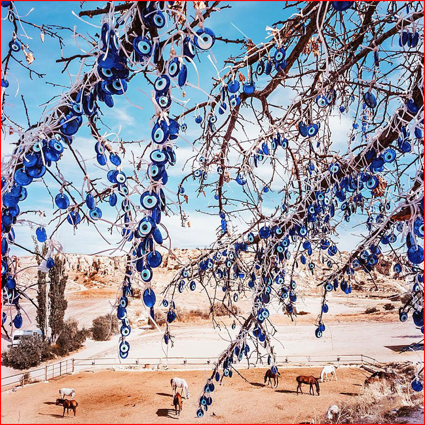 עולם הקסום של צלמת קריסטינה מקייבה