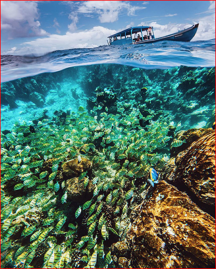 עולם הקסום של צלמת קריסטינה מקייבה