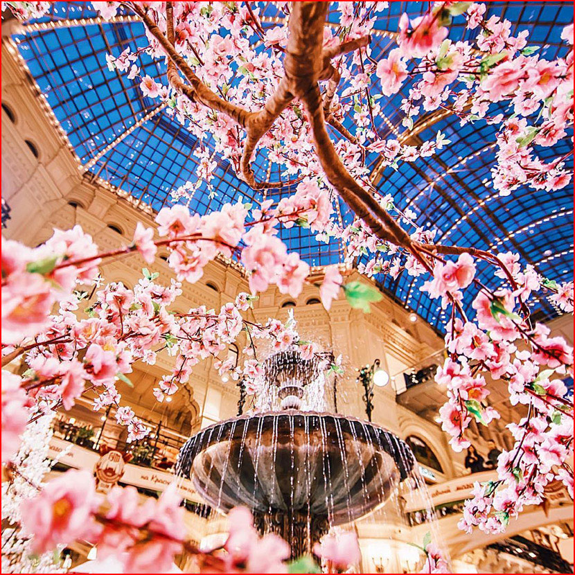 עולם הקסום של צלמת קריסטינה מקייבה