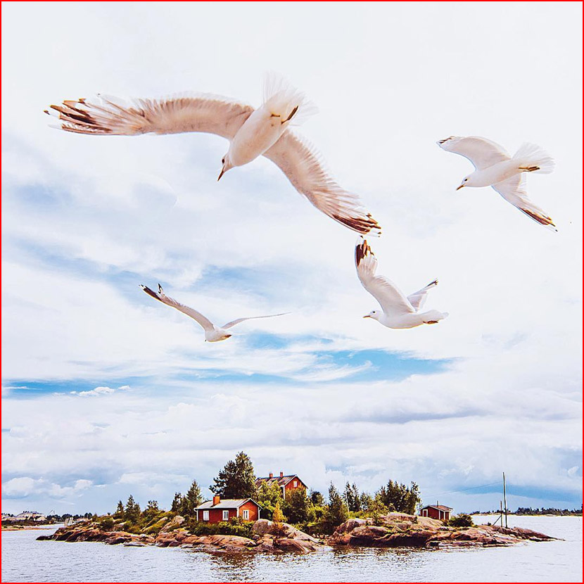 עולם הקסום של צלמת קריסטינה מקייבה