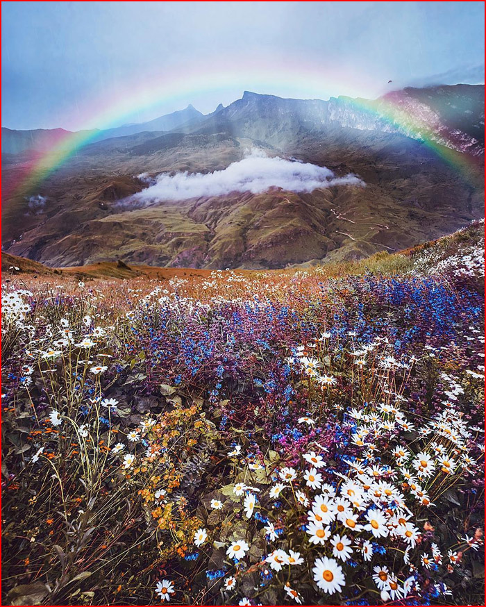 עולם הקסום של צלמת קריסטינה מקייבה