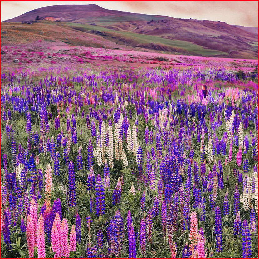 עולם הקסום של צלמת קריסטינה מקייבה