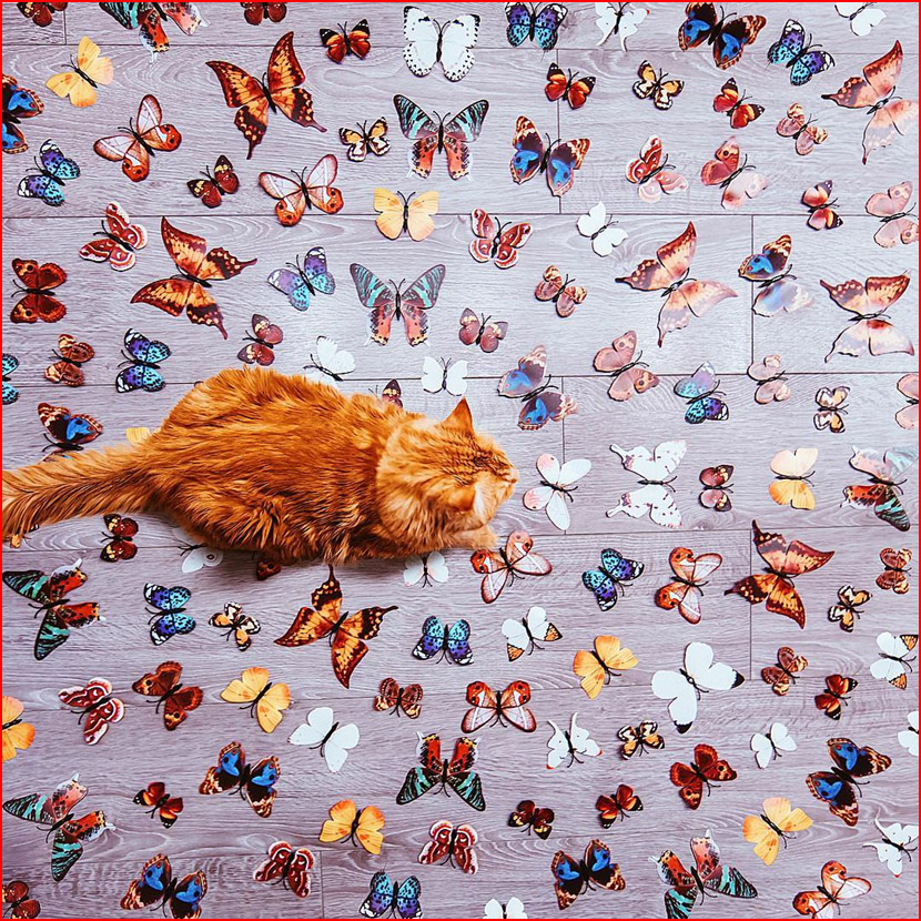 עולם הקסום של צלמת קריסטינה מקייבה