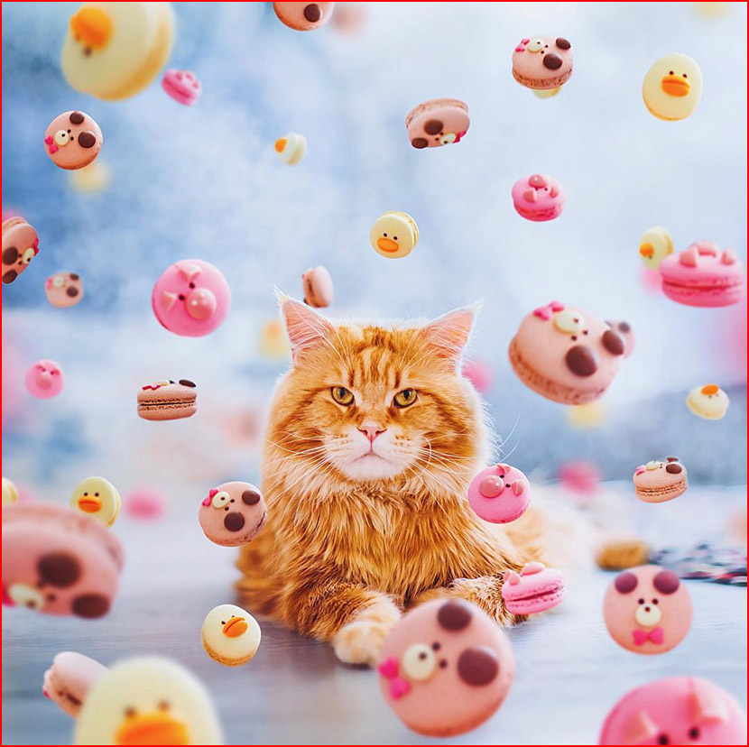 עולם הקסום של צלמת קריסטינה מקייבה