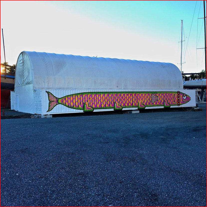 אומנות רחוב של טום בוב