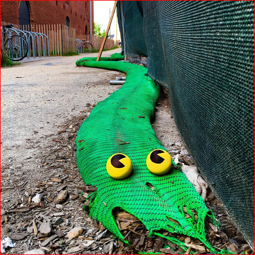 אומנות רחוב של טום בוב