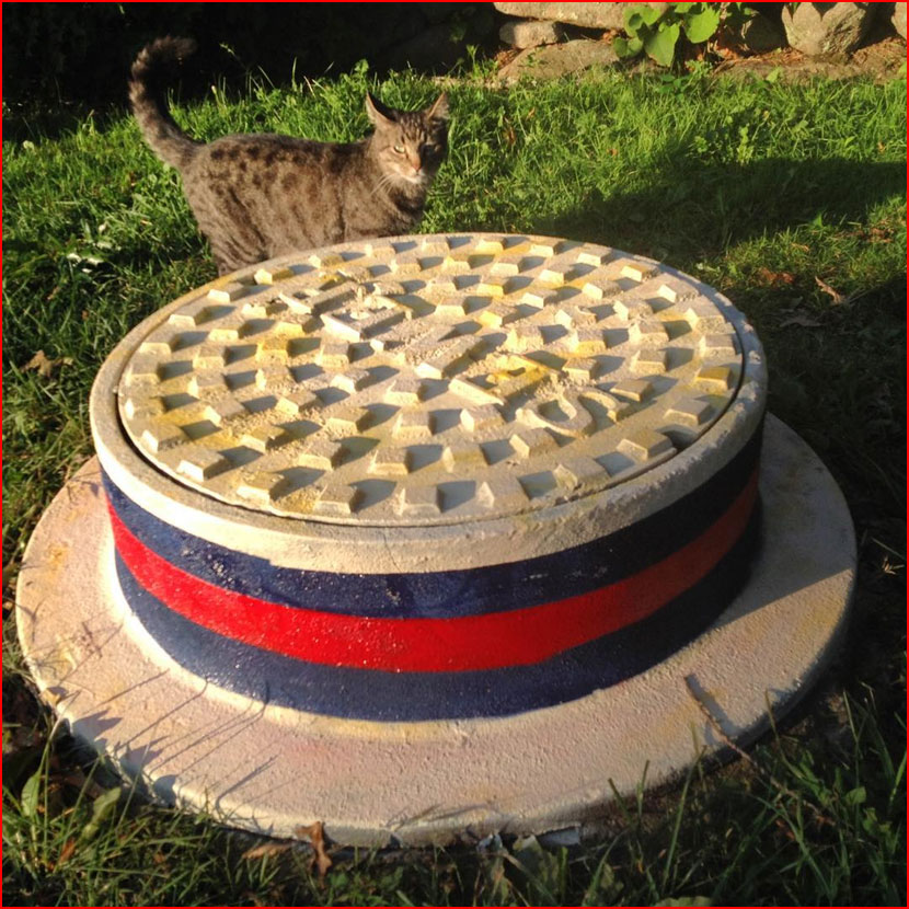 אומנות רחוב של טום בוב