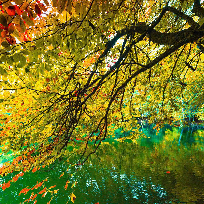 סתיו בתמונות של קומה צ&rsquo;וויק מטורקיה