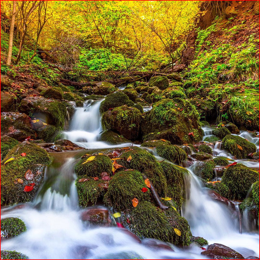 סתיו בתמונות של קומה צ&rsquo;וויק מטורקיה