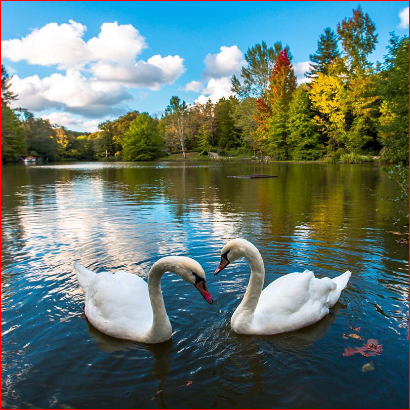 סתיו בתמונות של קומה צ&rsquo;וויק מטורקיה
