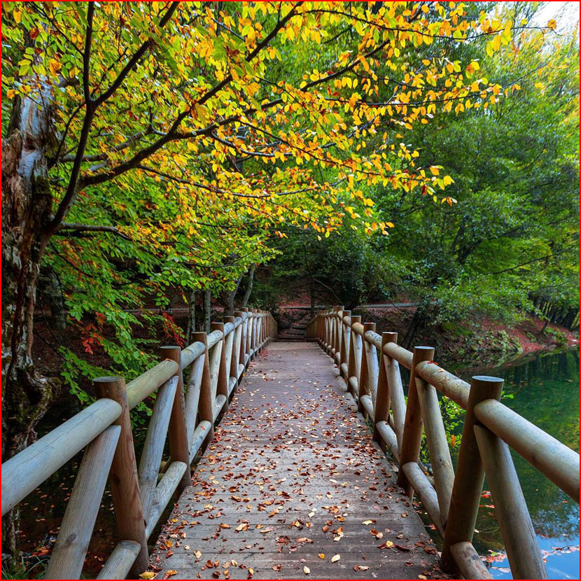 סתיו בתמונות של קומה צ&rsquo;וויק מטורקיה