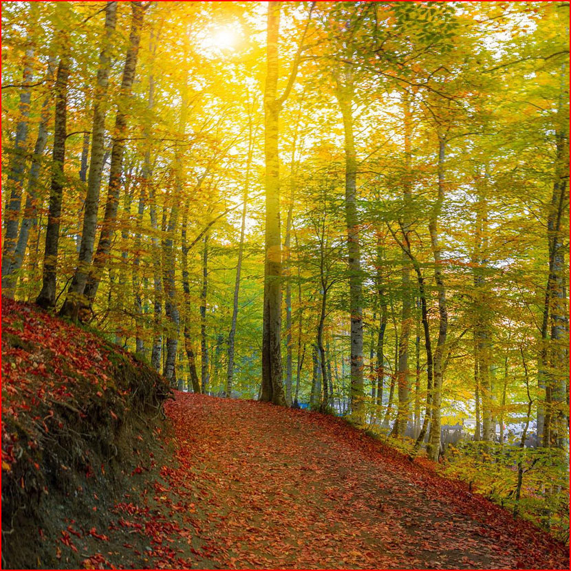 סתיו בתמונות של קומה צ&rsquo;וויק מטורקיה