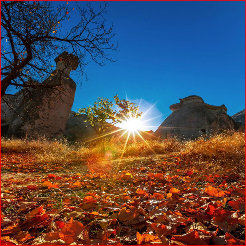 סתיו בתמונות של קומה צ&rsquo;וויק מטורקיה