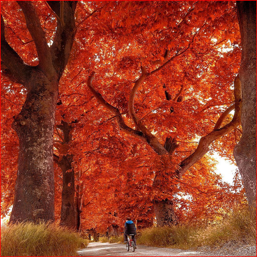 סתיו בתמונות של קומה צ&rsquo;וויק מטורקיה