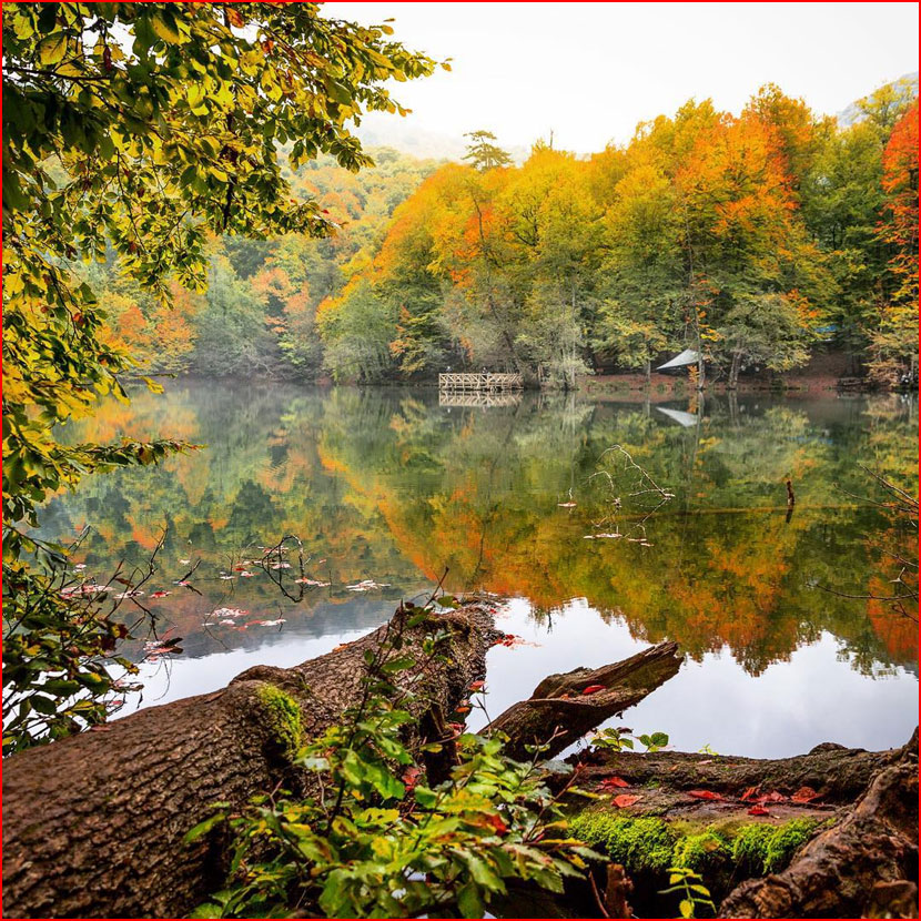 סתיו בתמונות של קומה צ&rsquo;וויק מטורקיה