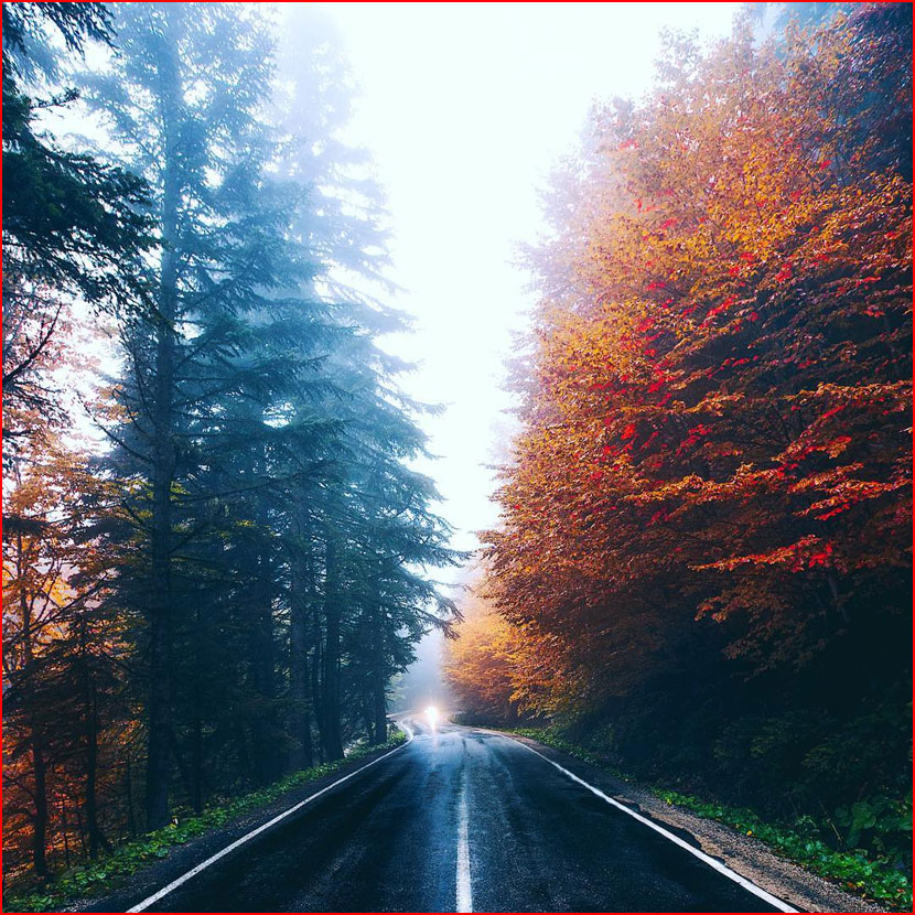 סתיו בתמונות של קומה צ&rsquo;וויק מטורקיה