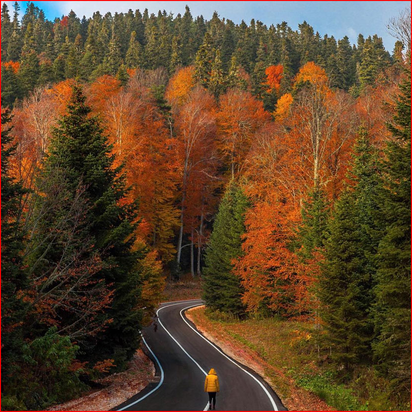 סתיו בתמונות של קומה צ&rsquo;וויק מטורקיה
