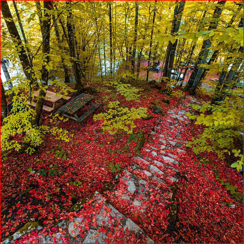 סתיו בתמונות של קומה צ&rsquo;וויק מטורקיה