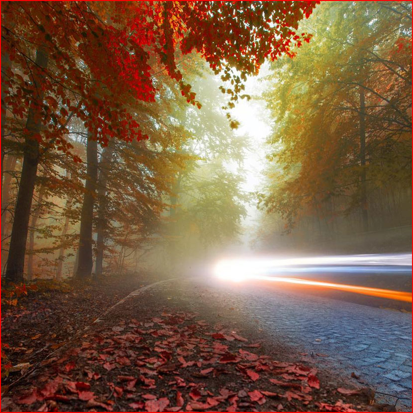 סתיו בתמונות של קומה צ&rsquo;וויק מטורקיה