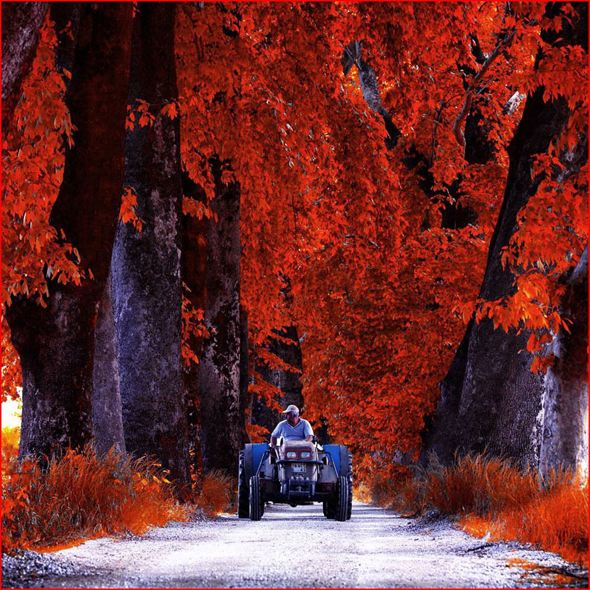 סתיו בתמונות של קומה צ&rsquo;וויק מטורקיה