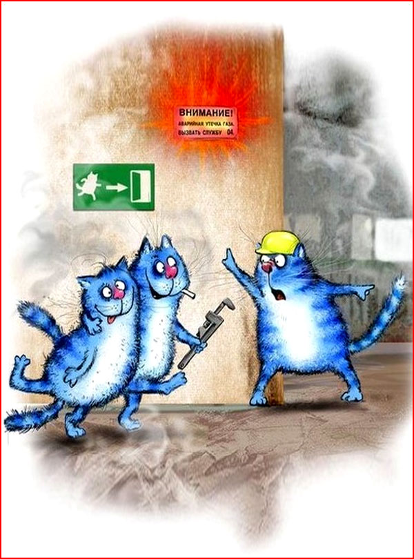 חתולים כחולים של אירינה זניוק מבלרוס