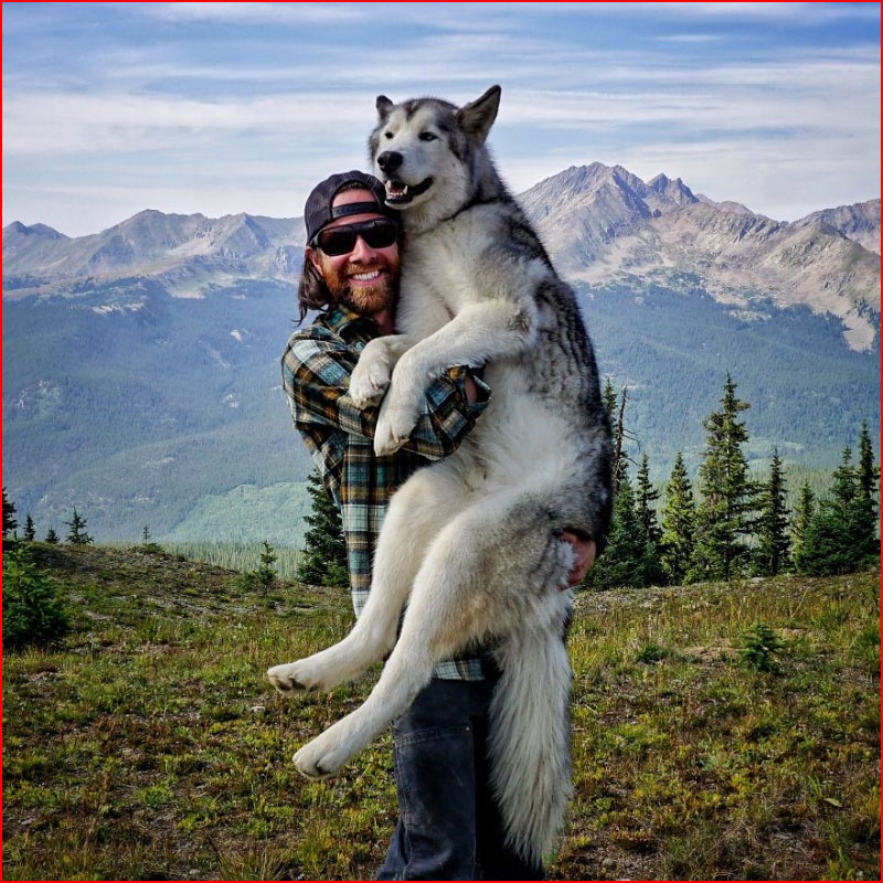 קלי לאנד (Kelly Lund) מטייל עם הכלב שלו