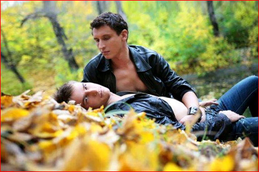 шимпанзе бонобо. поцелуй на природе. обезьяна бонобо самец. красивое дерево. половая жизнь в природе.