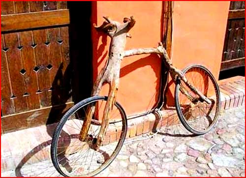 אופניים הכי יוצאי דופן